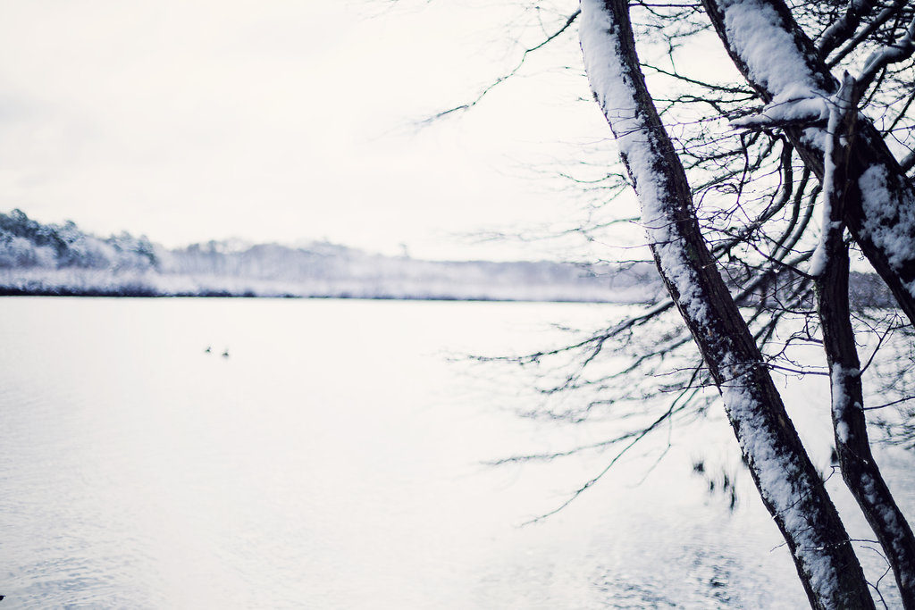 lake-snowy